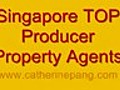 Singapore Top Property Agency Catherine Pang