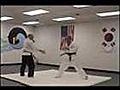 Hapkido: White And Yellow Belt Joint Locks (2)