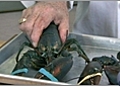 How To Boil Lobster