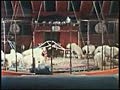 Awesome Polar Bear Circus Act