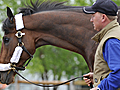 Horses arriving for Preakness