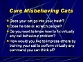 Cat Behaviour Problems? Train Your Cat With Cat Behaviour Guide