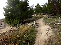 Stromlo - MTB Singletrack Helmet Cam Kangaroos on track @ 3 Mins and 31 seconds