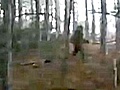 Weird News - Video of Bigfoot in Ukraine?