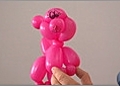 How to Make a Balloon Poodle