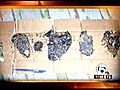 Large tar balls found in Key West (NewsChannel 5)