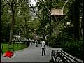 Tree Houses Built In New York Park