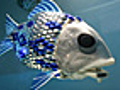 Robotic Fish Developed To Detect Pollution