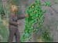 Neda’s Sunday Forecast - Oct. 3,  2010