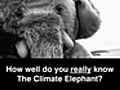 How well do you know the Climate Elephant?