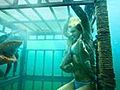 Shark Night 3D Teaser Trailer