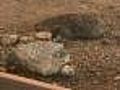 Heavy Concrete Hanging From Viaduct Poses Danger