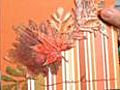Accent Light; Greeting Cards; Paper Sculpture
