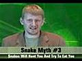 Common Snake Myths