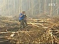 Volunteers combat fire in Russia