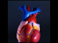 Body Surface Mapping May Prevent Heart Attacks