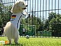 DFB-Frauen: Idyllische Vorbereitung