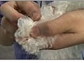 Dog Grooming - Clipping Nails