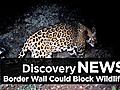 News: Border Wall Could Block Wildlife