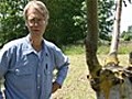 Lon Rombough: Grafting Fruit Trees