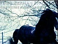 DARK HORSE