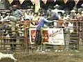 Rodeos Kill Animals