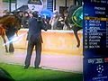 Horse kicks camera man in the face
