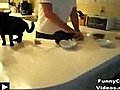 Frayeur de chat en cuisine