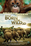 Born to be Wild 3D - &quot;On Location: Wild Filmmaking&quot;
