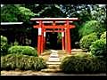 【神社】岩槻・古ヶ場・唐加坊稲荷神社（埼玉）