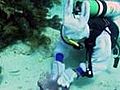 Easter Bunny Takes Egg Hunt Under Water