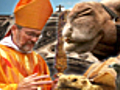 Exotic Animals Flock to Cathedral’s Blessings