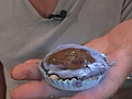 Reese’s Peanut Butter Cup