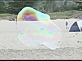 Giant Beach Bubbles