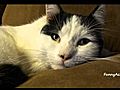 Couch Positions: 