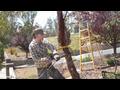 How-To Do It With Gary Ep. 3 - Pruning