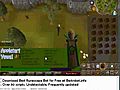 Free Undetectable runescape botting 99 wc