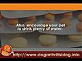 Prescription Painkillers for Dog Arthritis User Guides Part 4 - amitriptyline