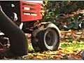 Creating Mulch from Fallen Leaves