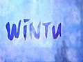 Wintuk 2010 Preview