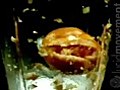 A Tomato In A Blender Filmed At High-speed / Slow Motion.