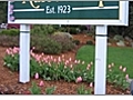 Landscaping the Entrance to a Business