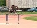 Local athlete is Olympic bound