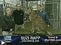 Atroce ! Un léopard agresse et tue une présentatrice TV