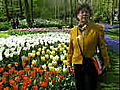 Keukenhof le plus beau parc du monde : présentation