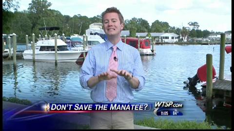 Manatee protection unconstitutional?