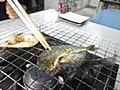 小坂（おさか）町の清流で育った魚を焼く！
