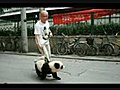 ニセパンダ？パンダ犬論争－中国