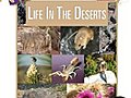 Ecology: Life In The Deserts