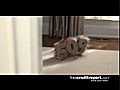 Free Credit Report - Good 745